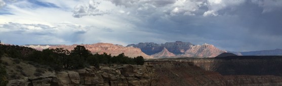 Flying Monkey Header